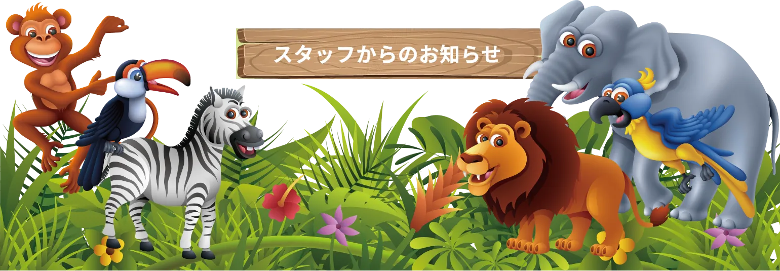 スタッフニュース